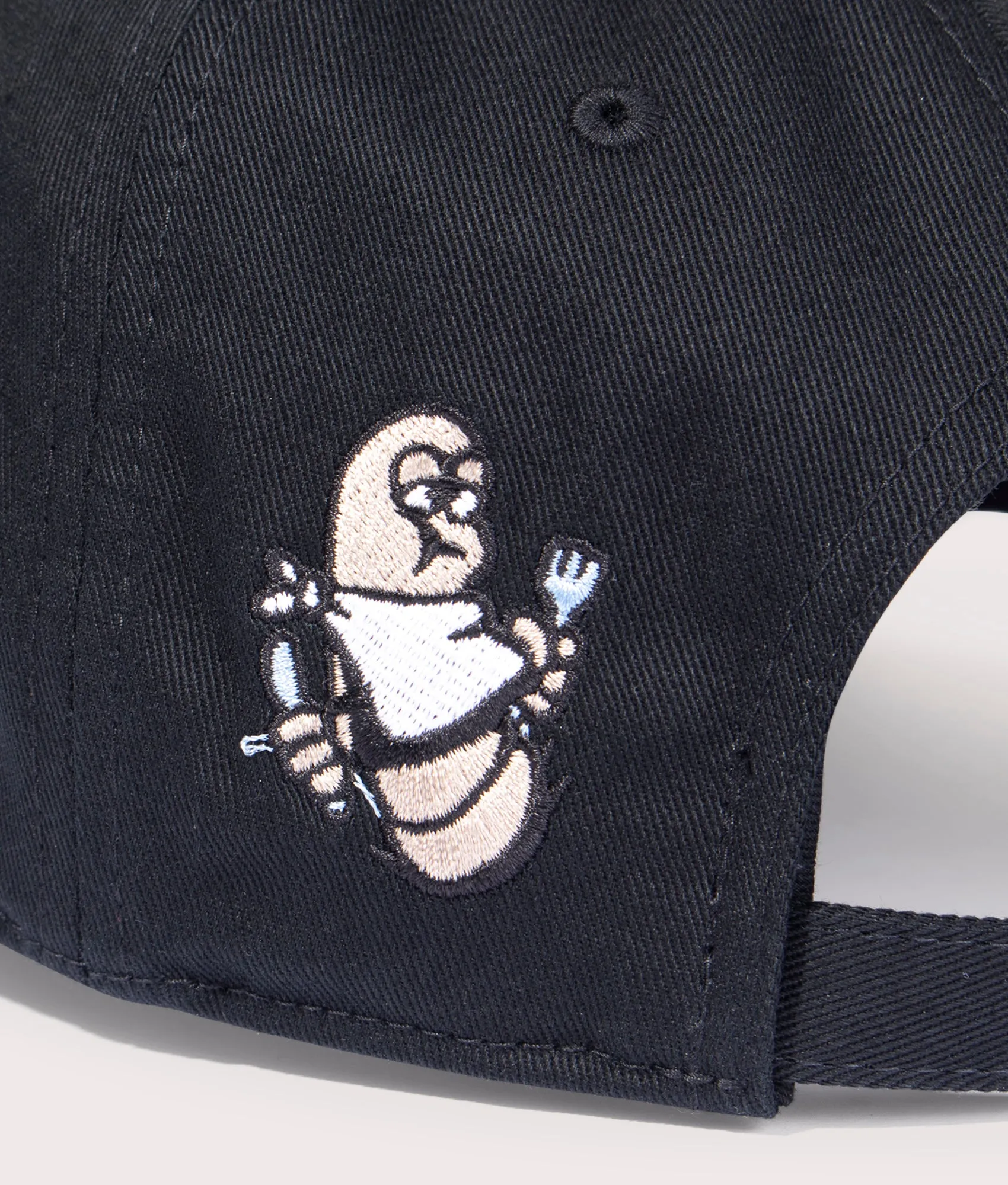 Appetite Cap