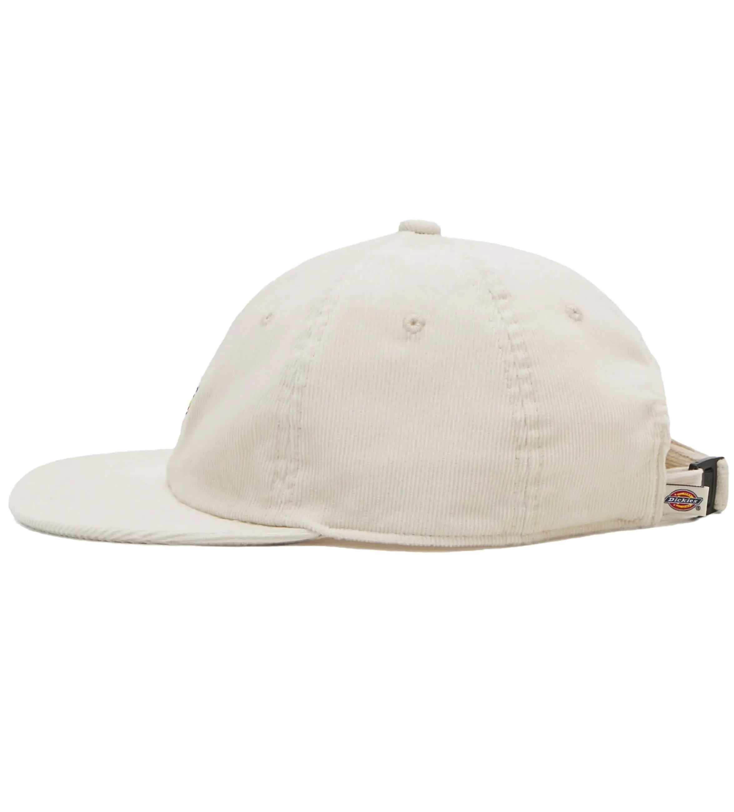 Dickies Chase City 6-Panel Pet