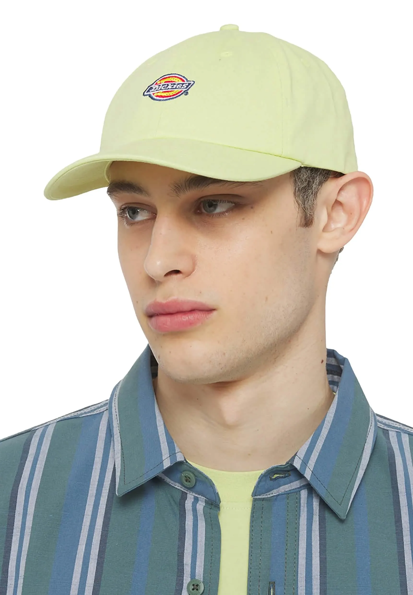 Dickies Hardwick 6-Panel Baseballpet Lichtgroen