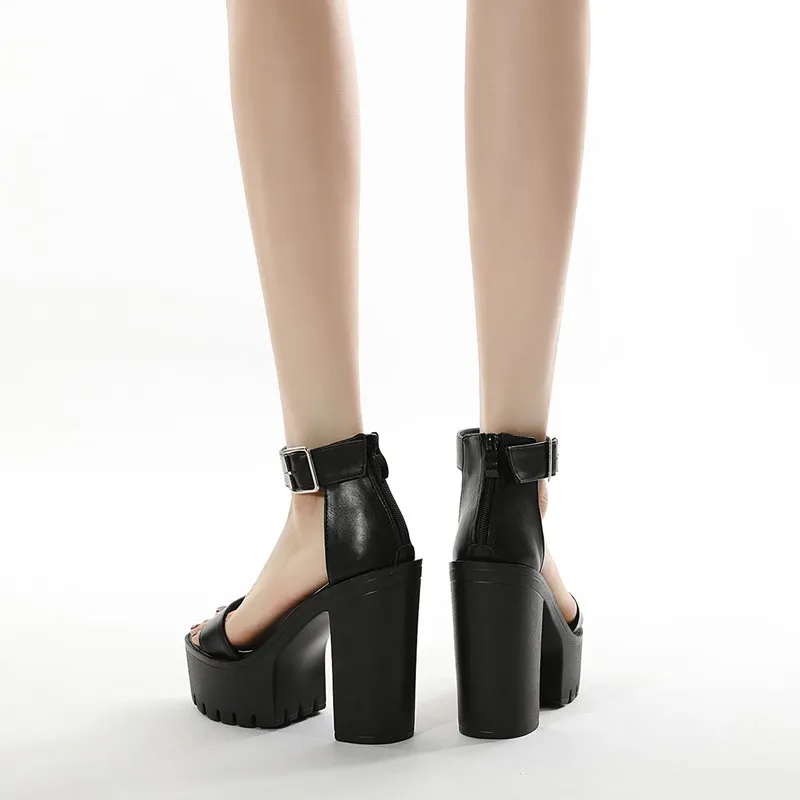 Funki Buys | Shoes | Women's Sexy High Chunky Heel Platforms