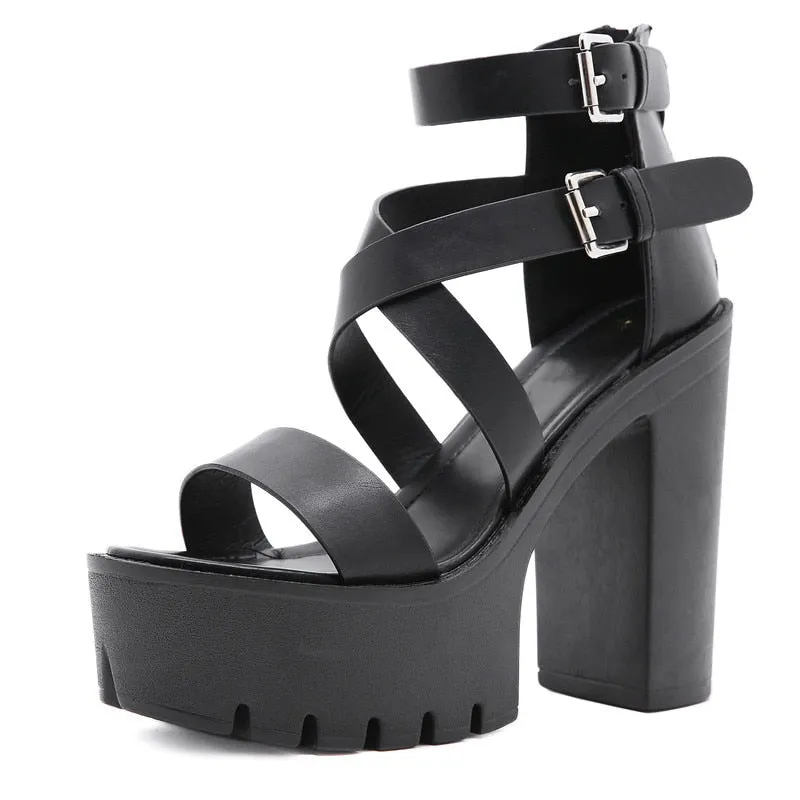 Funki Buys | Shoes | Women's Sexy High Chunky Heel Platforms