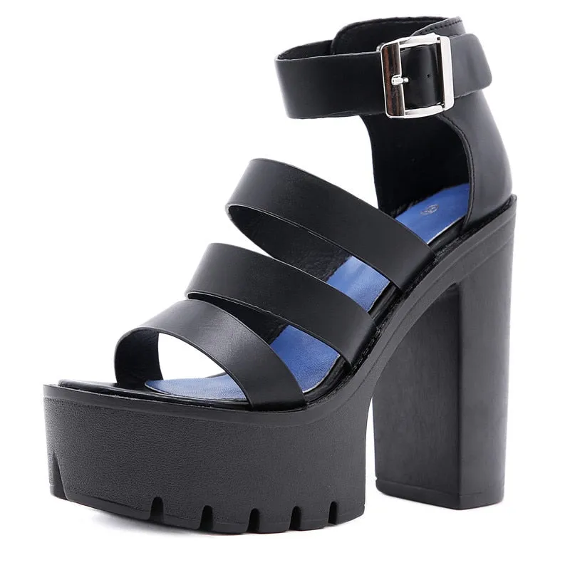 Funki Buys | Shoes | Women's Sexy High Chunky Heel Platforms
