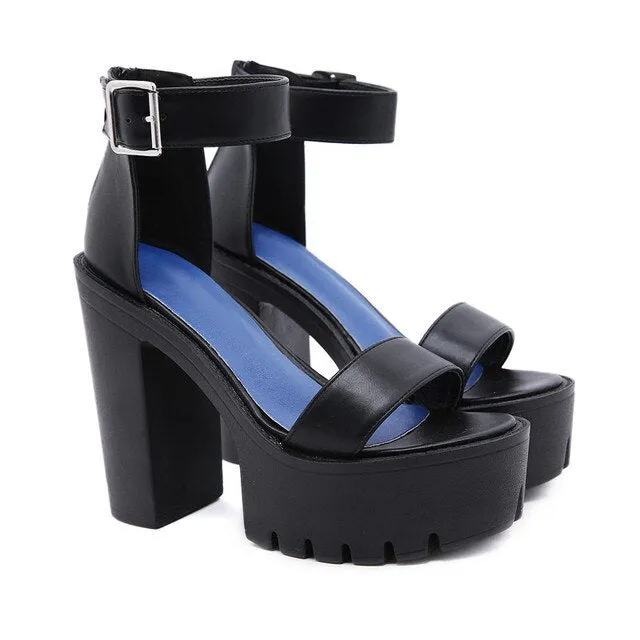 Funki Buys | Shoes | Women's Sexy High Chunky Heel Platforms