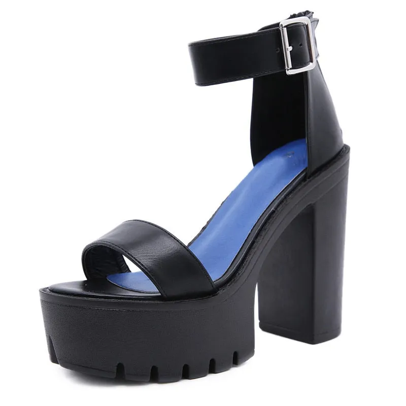 Funki Buys | Shoes | Women's Sexy High Chunky Heel Platforms