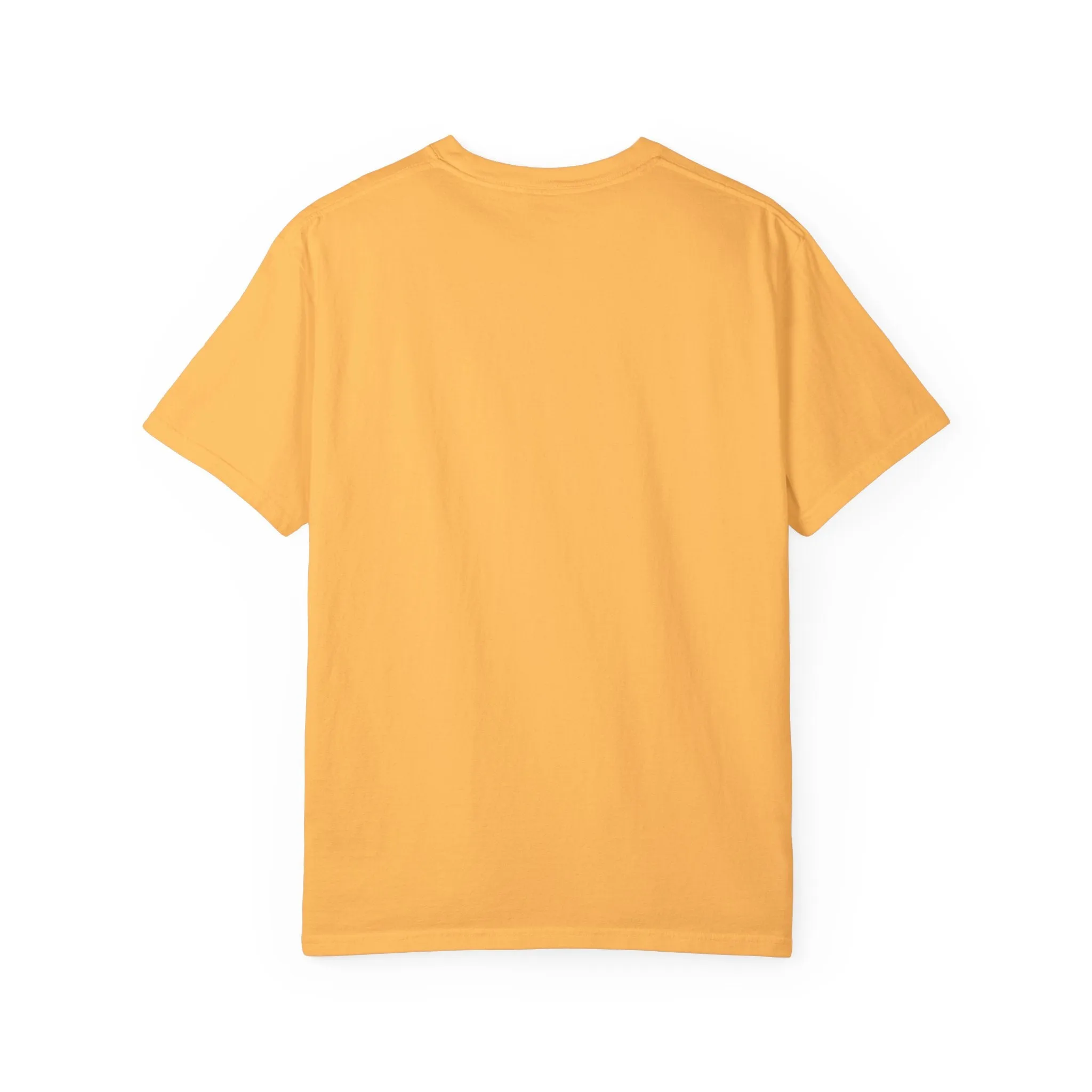 HUGGING FROG Unisex Garment-Dyed T-shirt