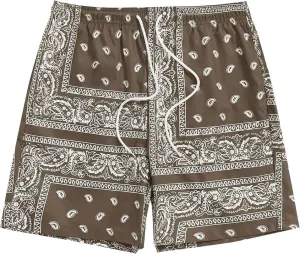 Men's Boho Tribal Paisley Graphic Shorts Summer Beach Hawaiian Cool Graphic Shorts Men 2025