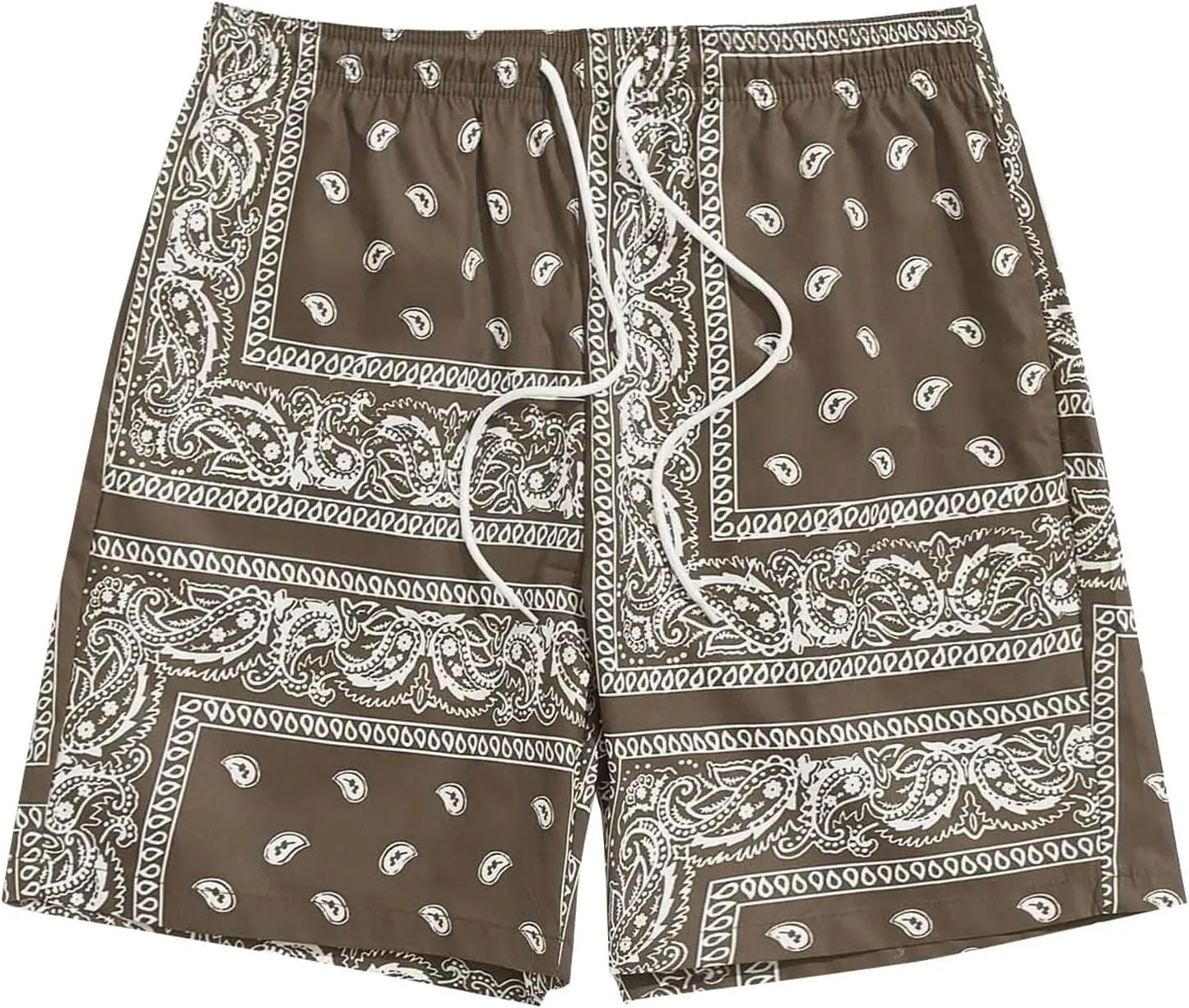Men's Boho Tribal Paisley Graphic Shorts Summer Beach Hawaiian Cool Graphic Shorts Men 2025