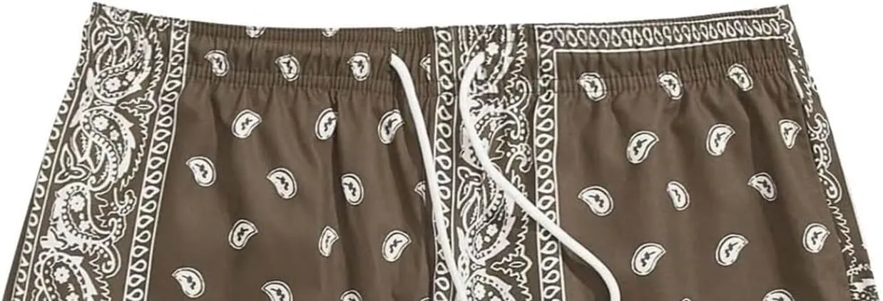 Men's Boho Tribal Paisley Graphic Shorts Summer Beach Hawaiian Cool Graphic Shorts Men 2025