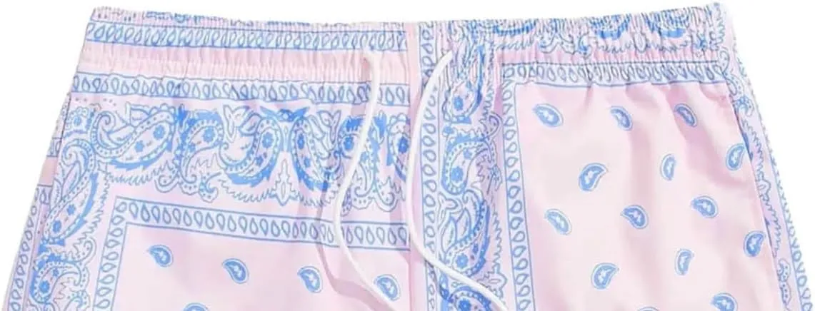 Men's Boho Tribal Paisley Graphic Shorts Summer Beach Hawaiian Cool Graphic Shorts Men 2025