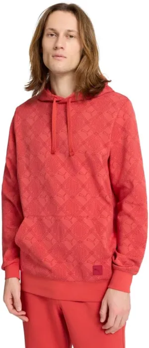 PUMA Men's Graphic Hoodie